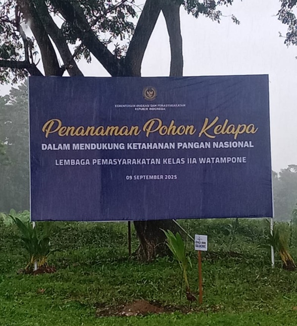 tanampohon1.jpg