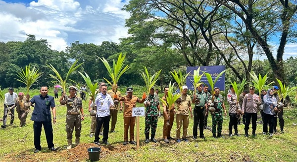 tanampohon2.jpg