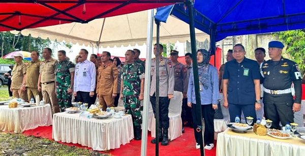 tanampohon3.jpg